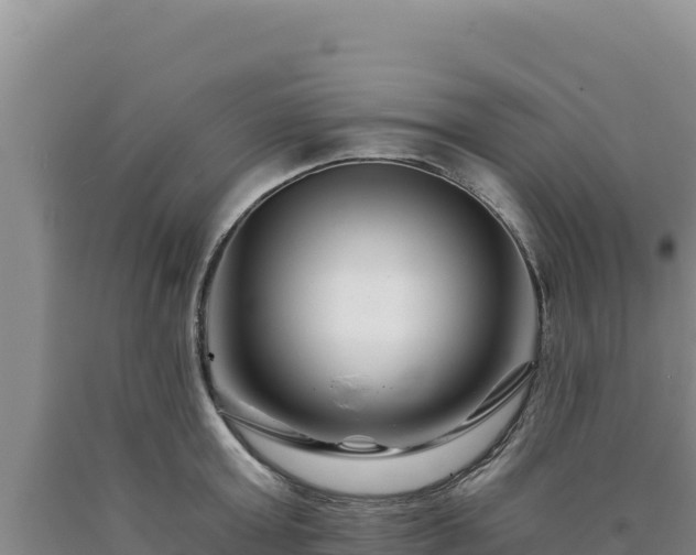 X0000090720803200707271151