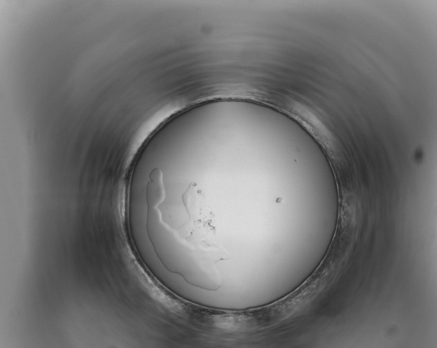 X0000090720804200707271151