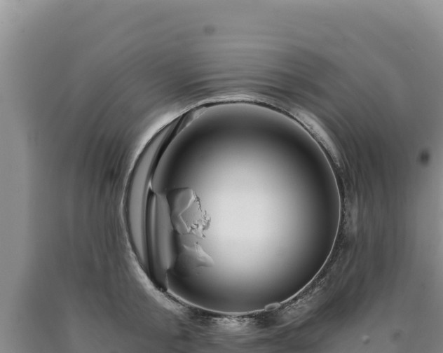 X0000090720805200707271151