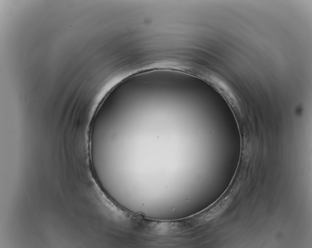 X0000090720808200707271151