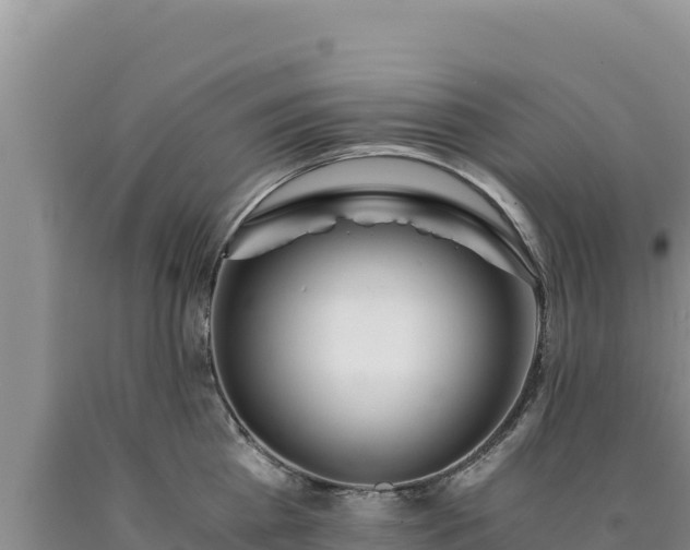 X0000090720809200707271151