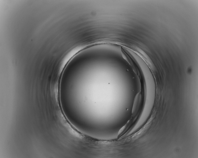 X0000090720812200707271151