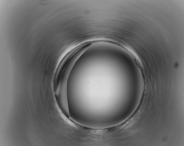 X0000090720813200707271151