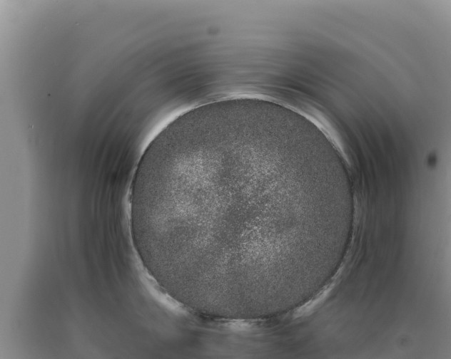 X0000090720814200707271151