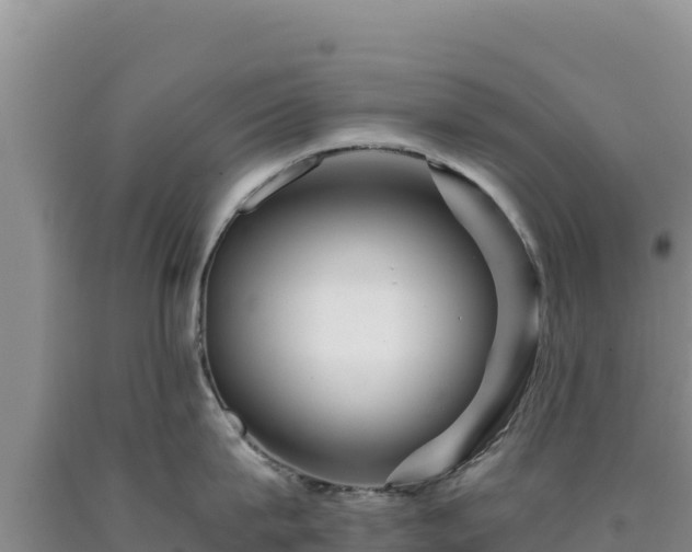 X0000090720815200707271151