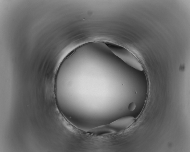 X0000090720816200707271151