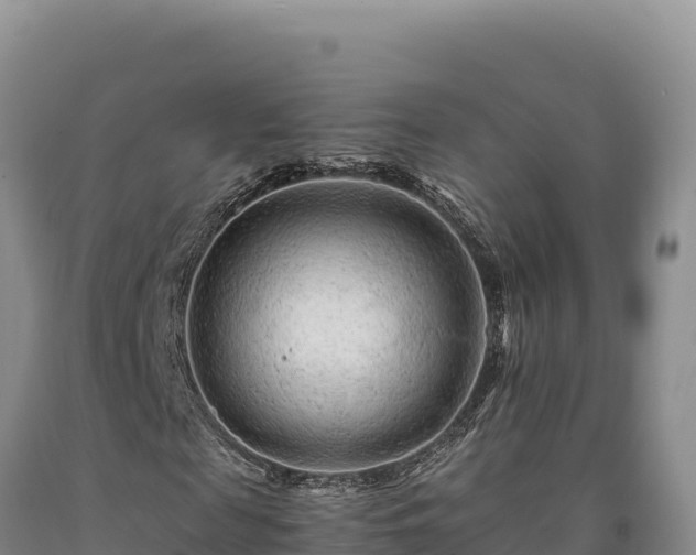 X0000090720817200707271150