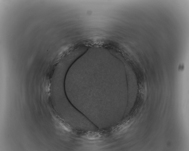 X0000090720818200707271150