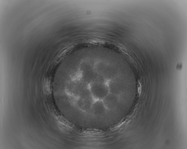 X0000090720819200707271150