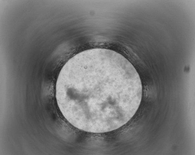 X0000090720820200707271150