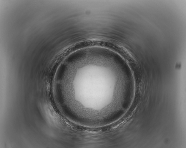 X0000090720821200707271150