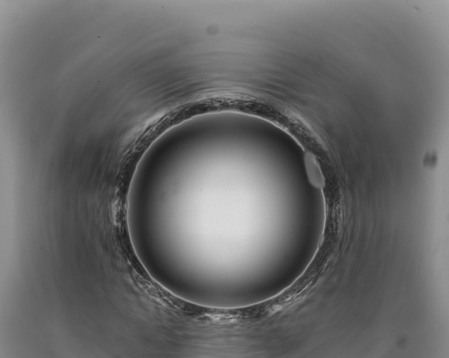 X0000090720822200707271150