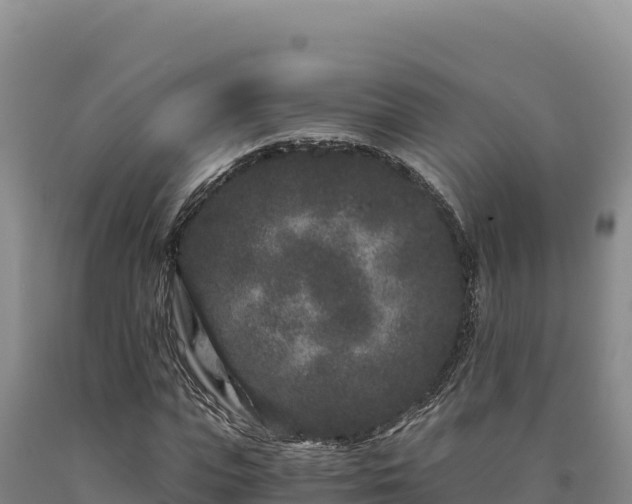 X0000090720823200707271150