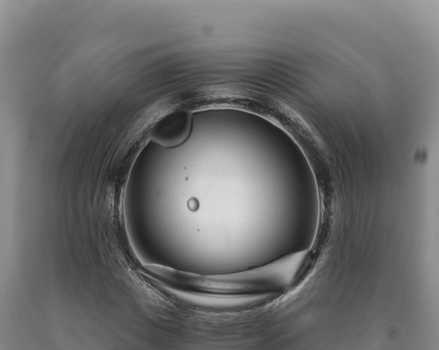 X0000090720825200707271150