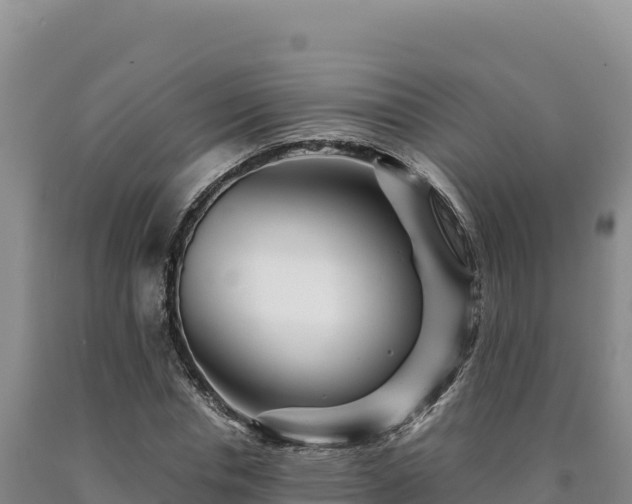 X0000090720826200707271150