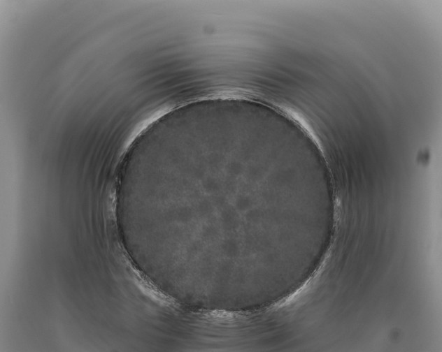 X0000090720827200707271150