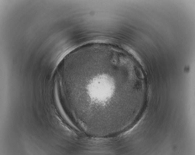 X0000090720829200707271150