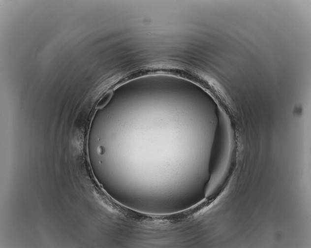 X0000090720833200707271150