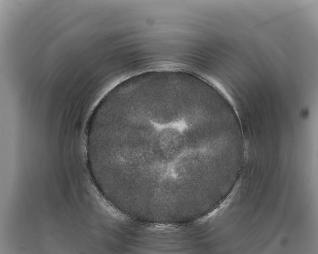 X0000090720835200707271151