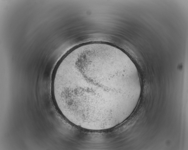 X0000090720836200707271151