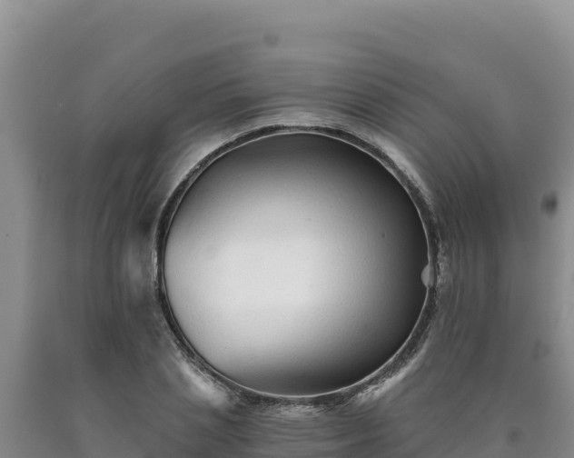 X0000090720837200707271151