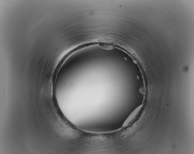 X0000090720838200707271151