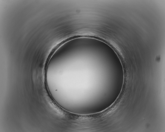 X0000090720840200707271151
