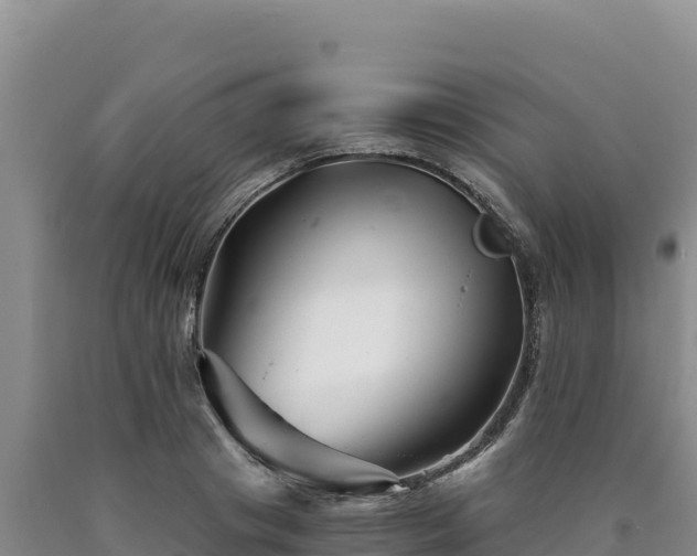 X0000090720841200707271151