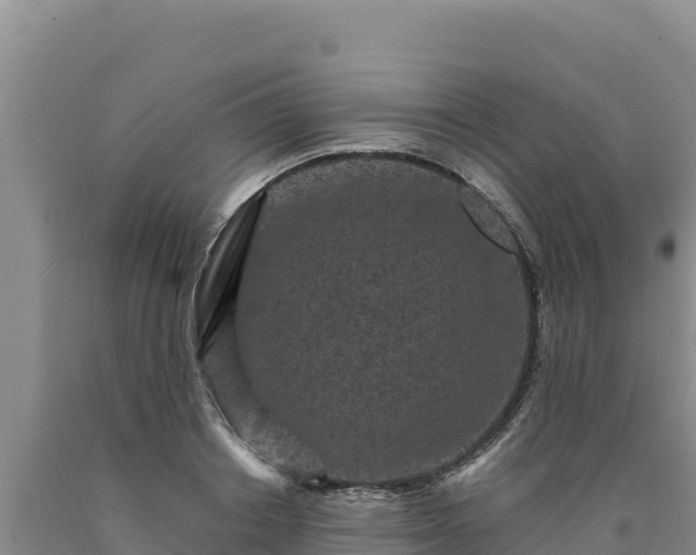 X0000090720842200707271151