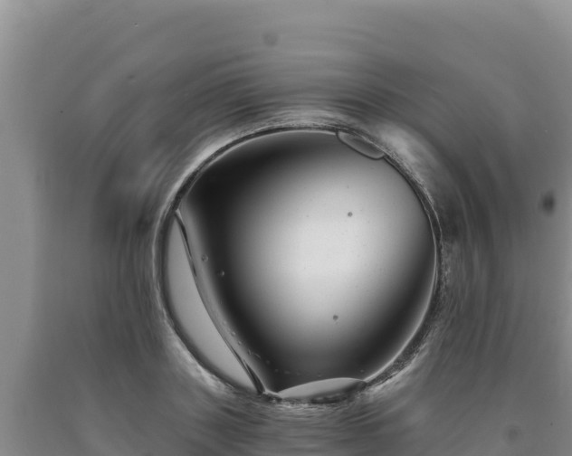 X0000090720843200707271151