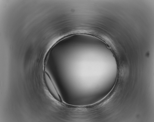 X0000090720844200707271151