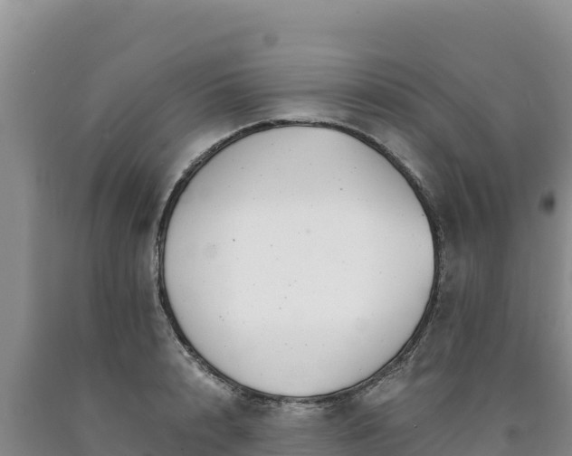 X0000090720848200707271151