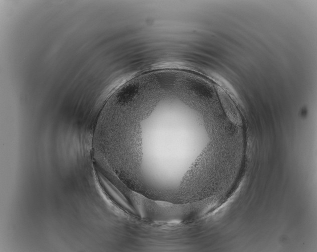 X0000090720849200707271151