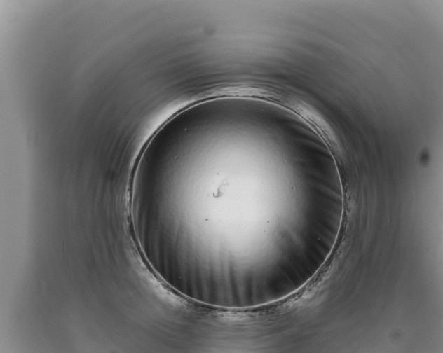 X0000090720852200707271151
