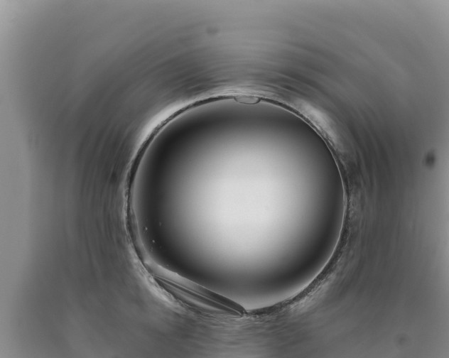 X0000090720854200707271151