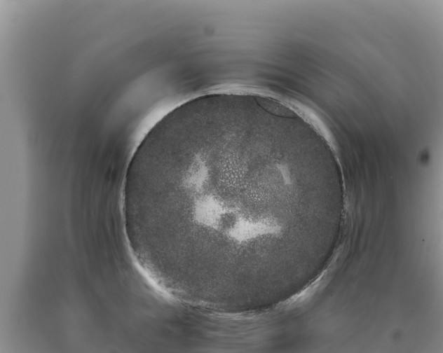 X0000090720855200707271151
