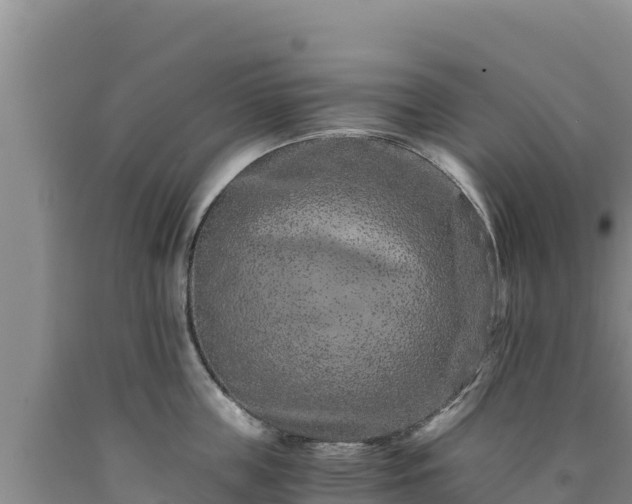X0000090720859200707271151
