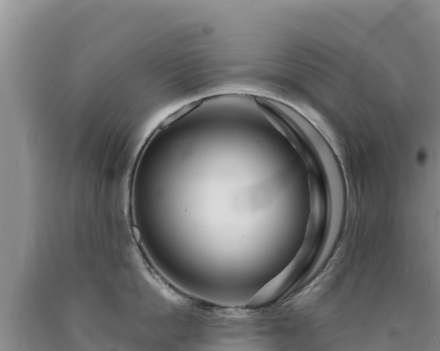 X0000090720862200707271151
