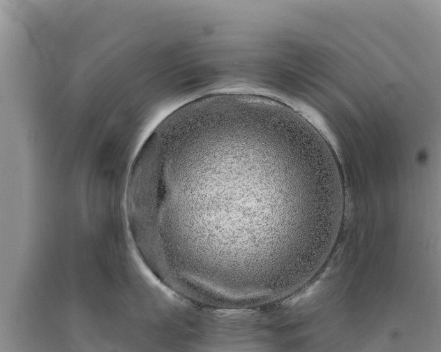 X0000090720863200707271151