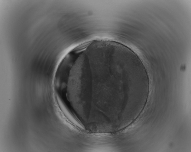 X0000090720864200707271151
