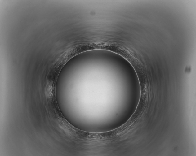 X0000090720866200707271150