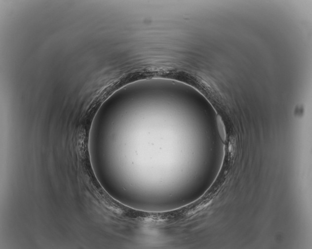 X0000090720867200707271150