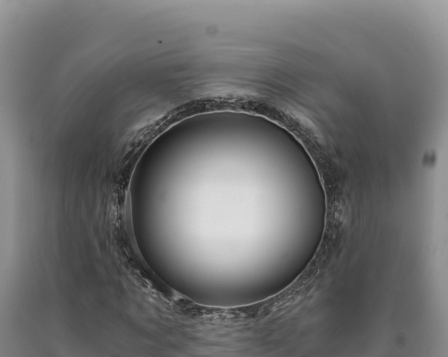 X0000090720869200707271150