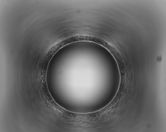 X0000090720870200707271150