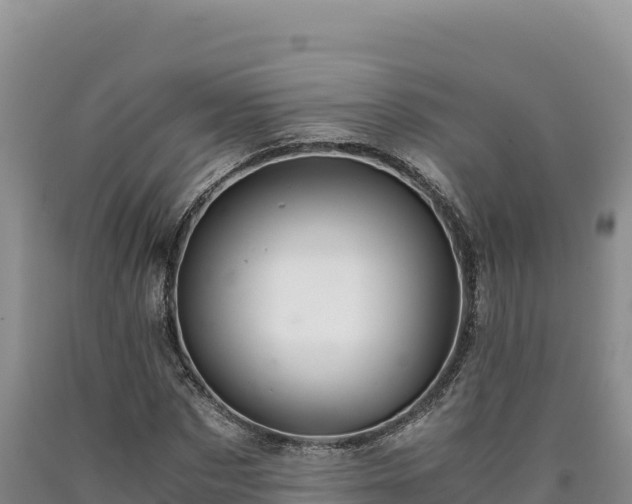 X0000090720873200707271150