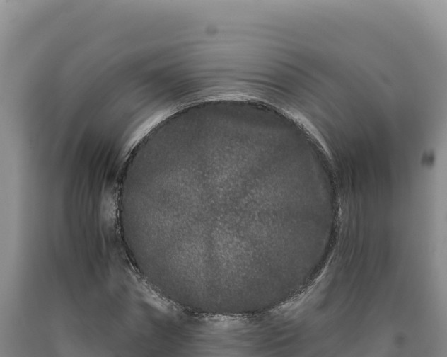 X0000090720874200707271150