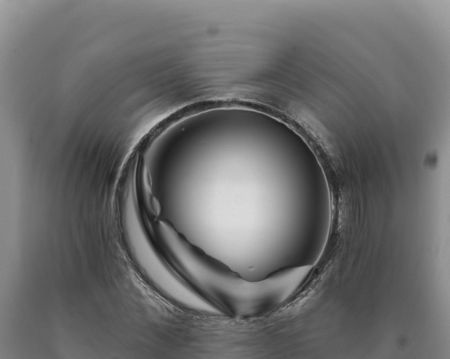 X0000090720876200707271150