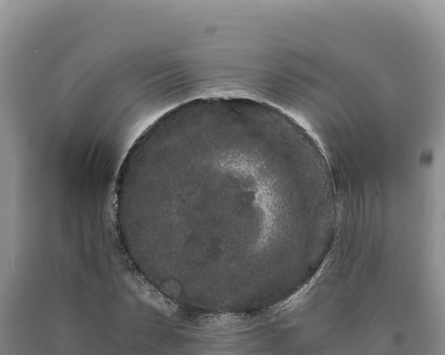 X0000090720879200707271150