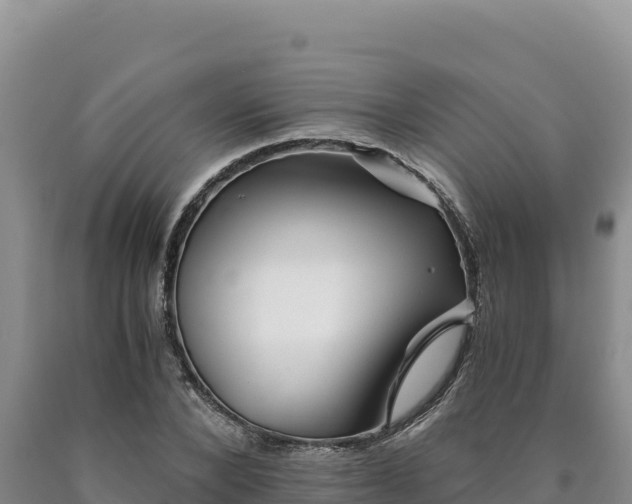 X0000090720880200707271150