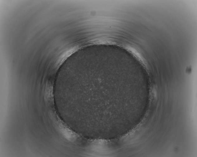 X0000090720881200707271150